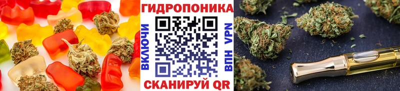 где купить наркоту Курчатов Еда ТГК конопля
