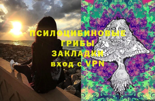 стаф Абаза