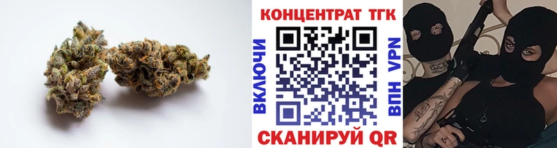 ТГК Wax Курчатов