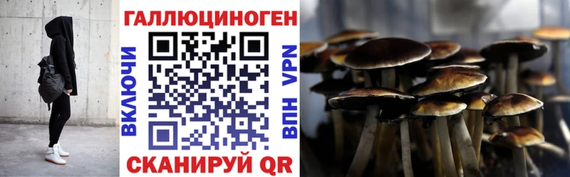 ОМГ ОМГ tor  цены наркотик  Курчатов  Псилоцибиновые грибы Psilocybine cubensis 